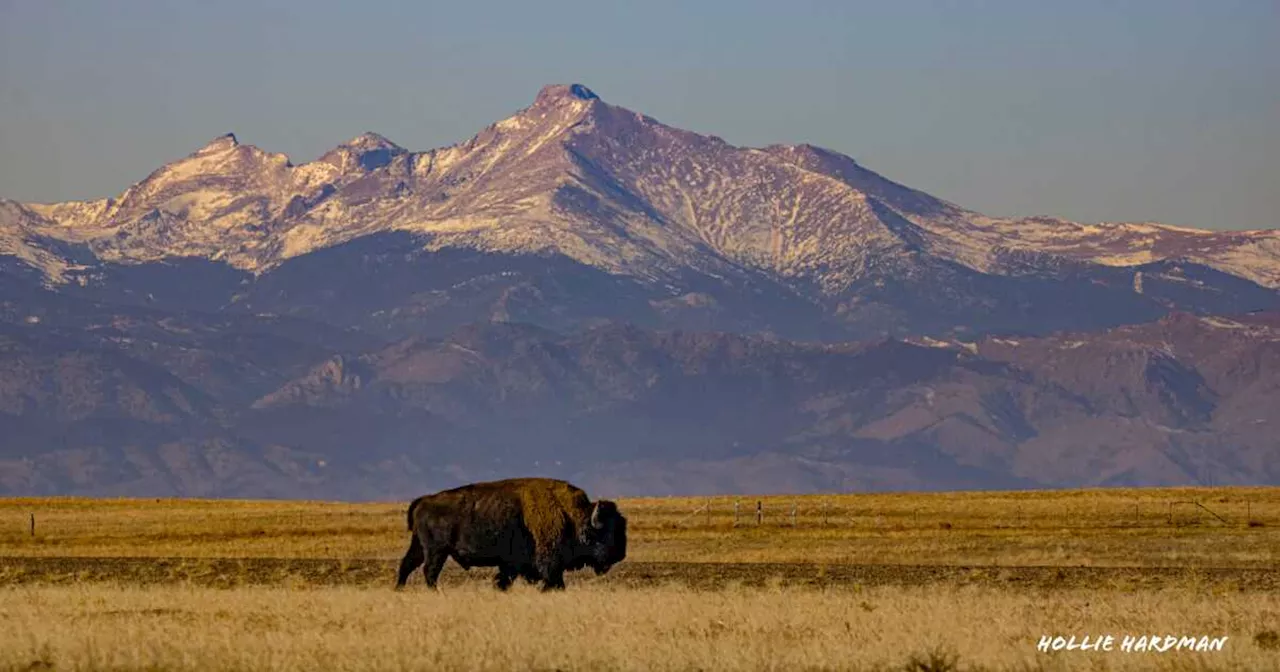 Denver will hit high temperatures in the 50s for the next few days