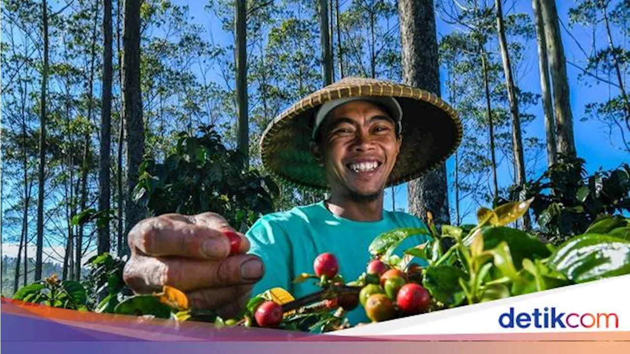 Dirut BRI: Sektor Pertanian Kunci Pastikan Ketahanan Pangan