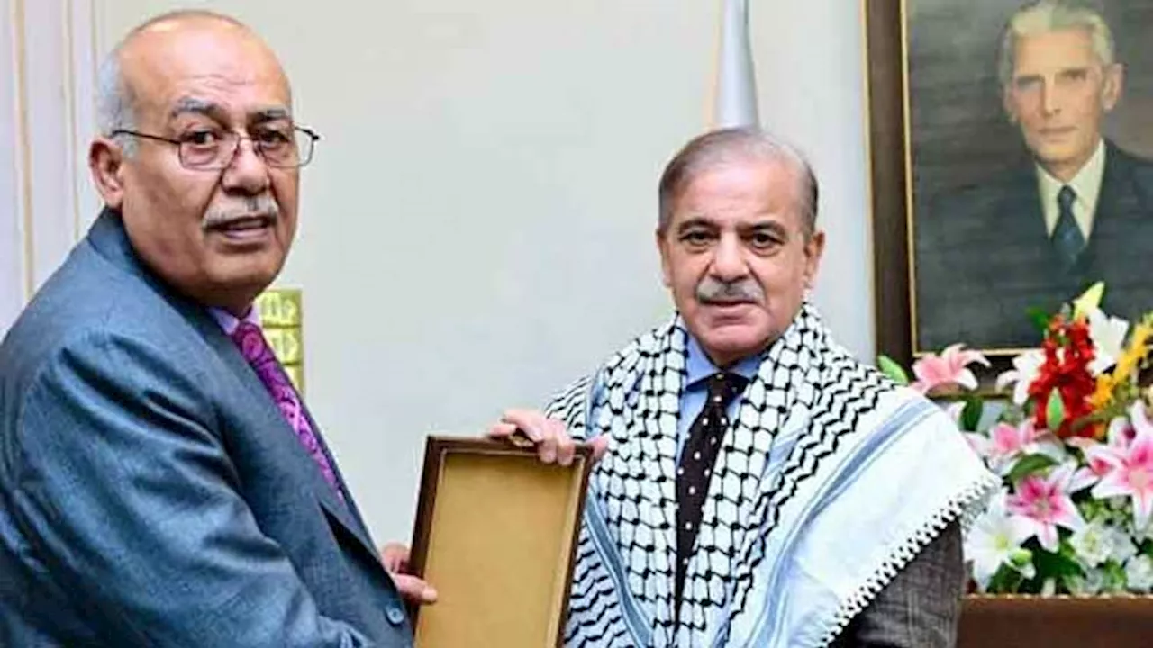 Prime Minister Affirms Pakistan's Support for Palestinian Rights