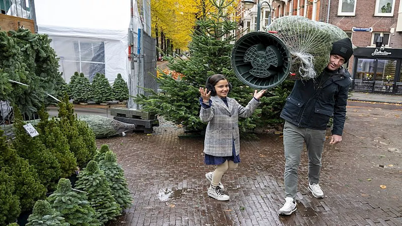 Steeds vaker een kerstboom in huis voor 5 december: 'Het lijkt wel alsof Sinterklaas wordt overgeslagen'