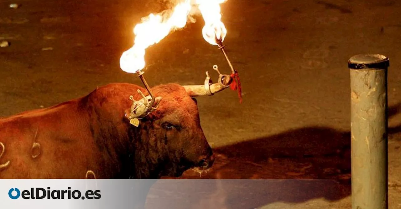 El Gobierno de Ayuso retira la prohibición expresa del toro embolado en la Comunidad de Madrid