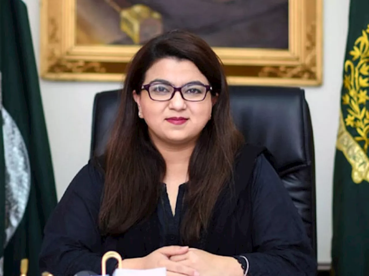 وزیر مملکت برائے آئی ٹی و ٹیلی کمیونیشن: آن لائن تھریٹس میں اضافہ ہو رہا ہے