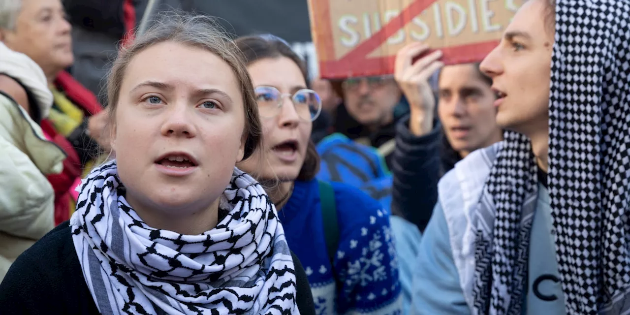 Kritik an Auftritt von Greta Thunberg bei Pro-Palästina-Veranstaltung in Mannheim