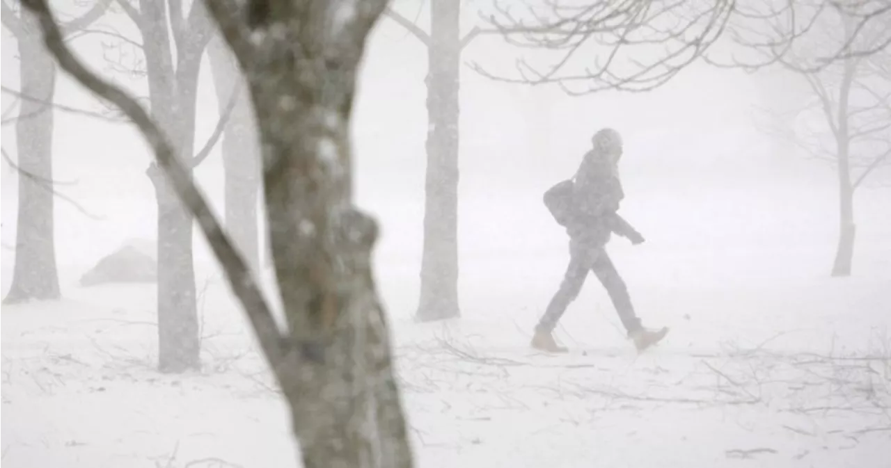 ‘Near blizzard conditions’: Ontario braces for more lake-effect snow squalls