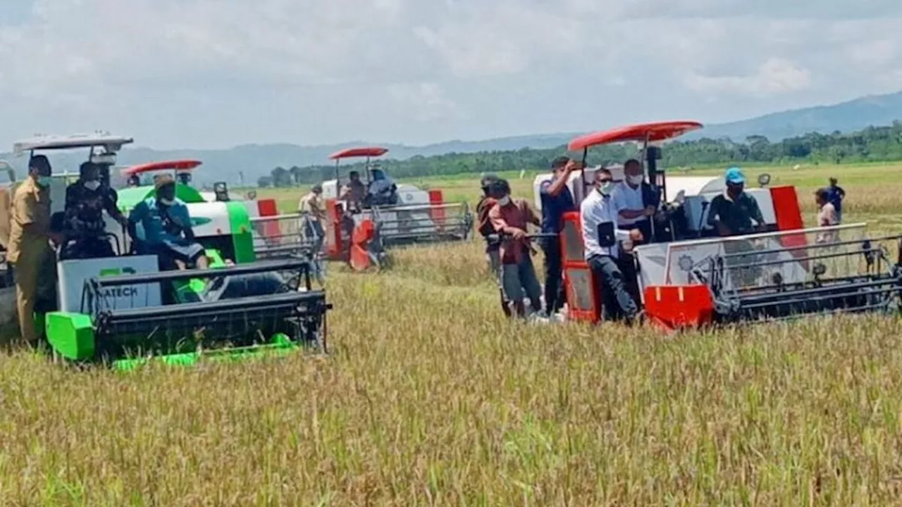 Lahan ”Food Estate” di Sumba Tengah Kesulitan Air