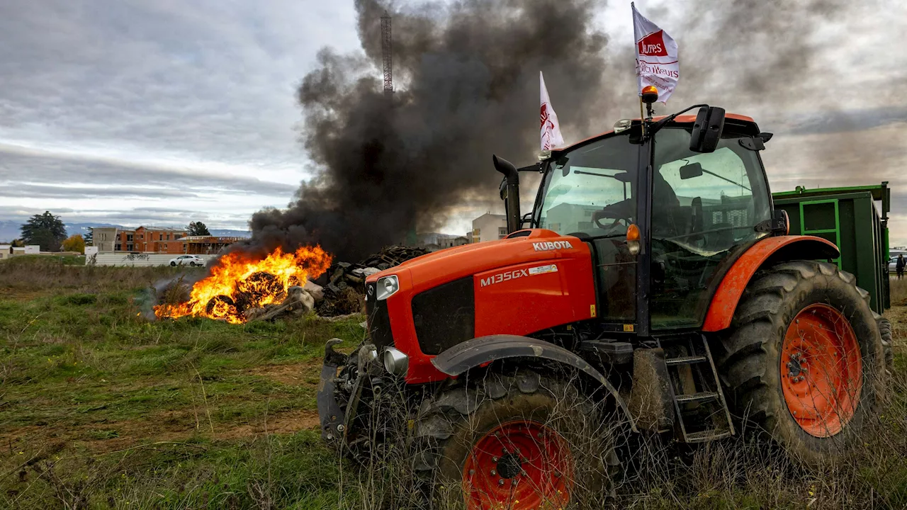 Greenpeace gegen Mercosur-Pakt - 'Konzern-Profite auf Kosten von Natur und Landwirten'