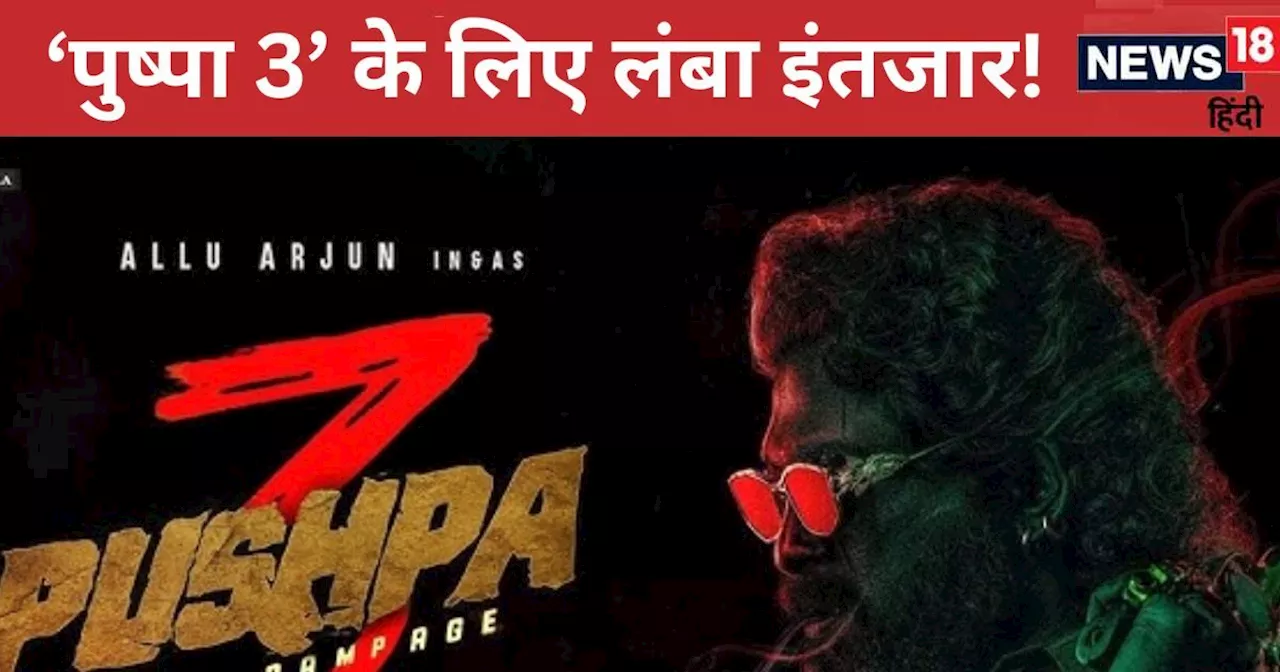 'पुष्पा 3' कंफर्म, Pushpa 2 के लिए किया 3 साल का इंतजार, तीसरे सीक्वल के लिए कितना करना होगा वेट?