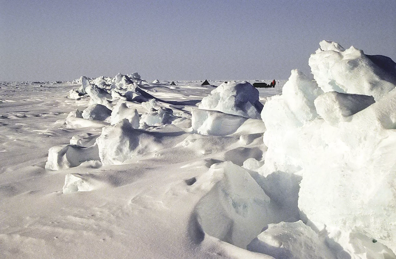 El Polo Norte podría perder su hielo en solo tres años, según un nuevo estudio