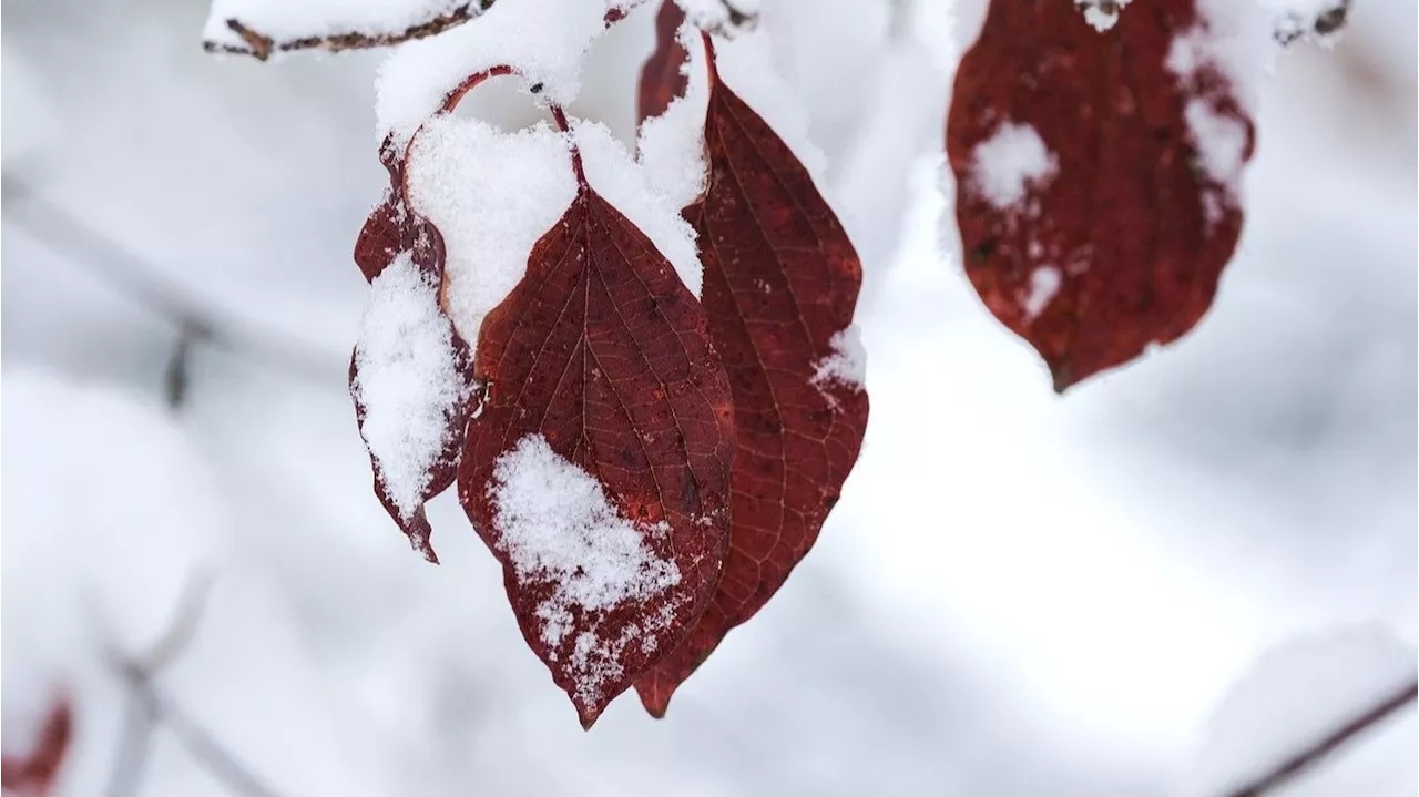 España se prepara para un intenso frío polar este puente de diciembre