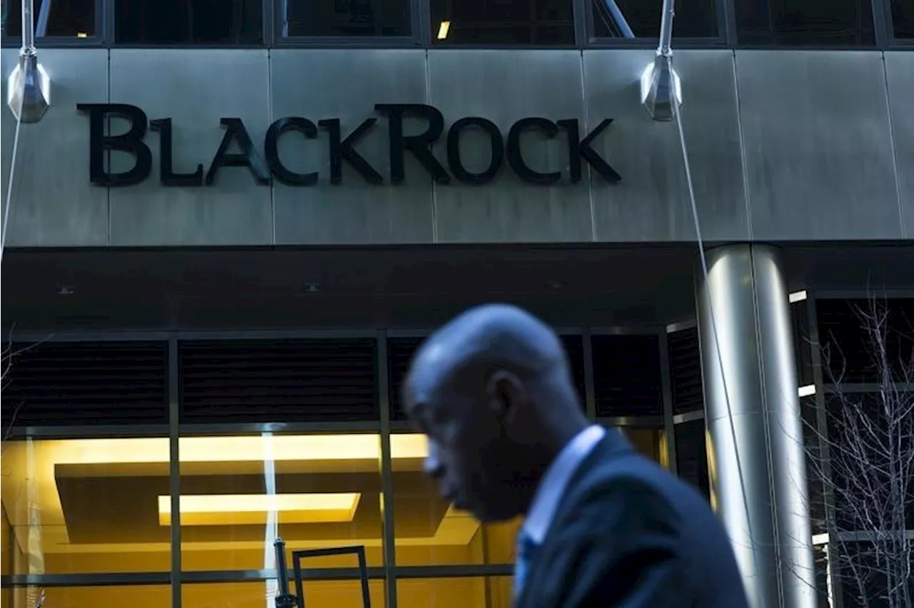 BlackRock reste optimiste pour les actions US en 2025 : Voici pourquoi