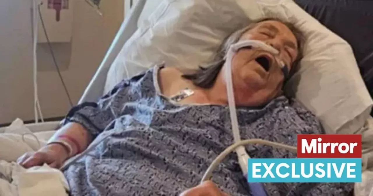 Grandmother in Critical Condition After Unexpected Trip Turned Devastating Due to Unpaid Medical Bills