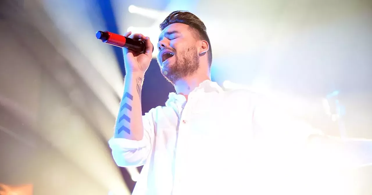 Liam Payne's Christmas Song Brings Fans to Tears After Tragic Death