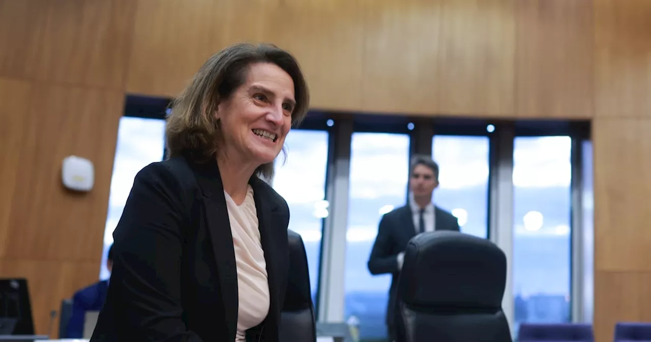 EU's New Competition Chief Teresa Ribera Considers Potential Split of Google's Business