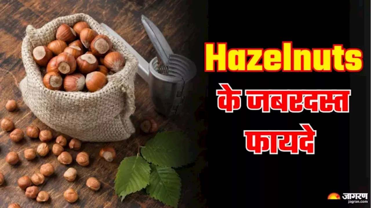 तेजी से Weight Loss में मदद करते हैं Hazelnuts, हैरान कर देंगे सुपरफूड के अन्‍य फायदे