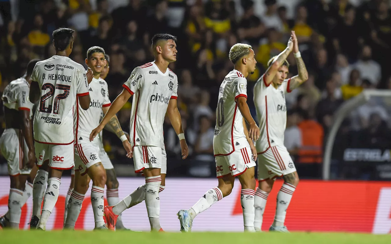 Com Brasileirão, veja quanto o Flamengo ganhou com premiação em 2024