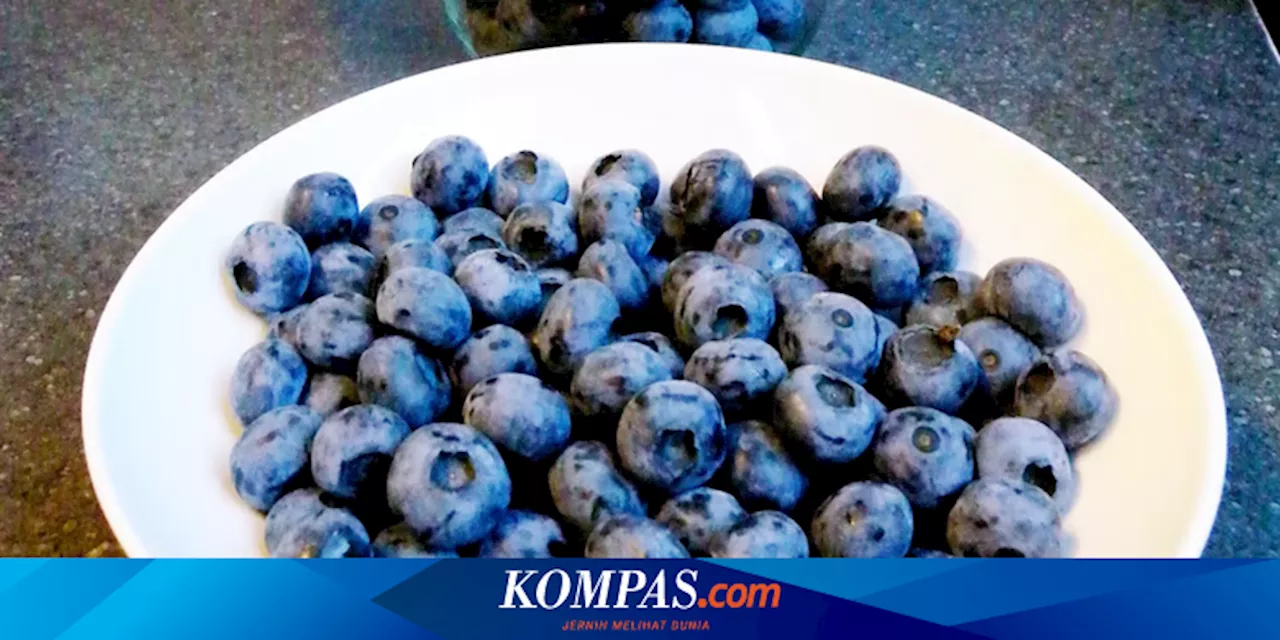 7 Manfaat Kesehatan Makan Blueberry, Bisa Atasi Diare