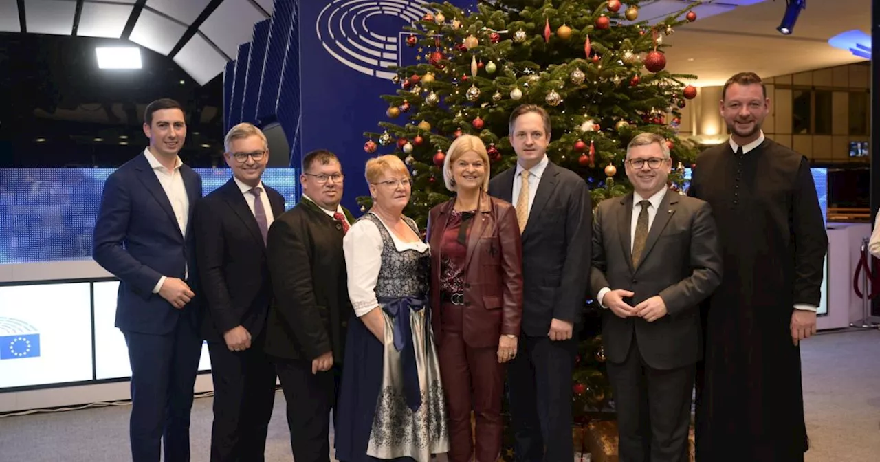 Österreich stellt dem EU-Parlament einen Baum auf