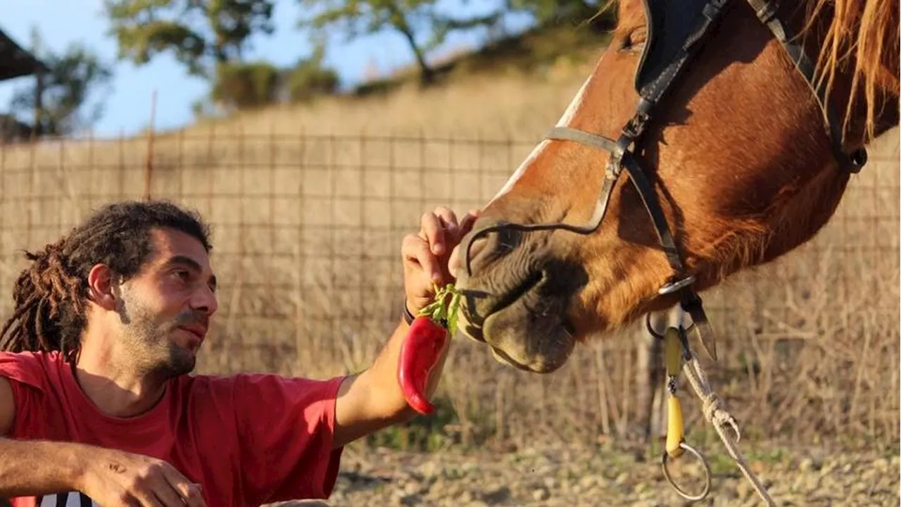 Aziença Agricola a Trattoria Animale a Valtopina