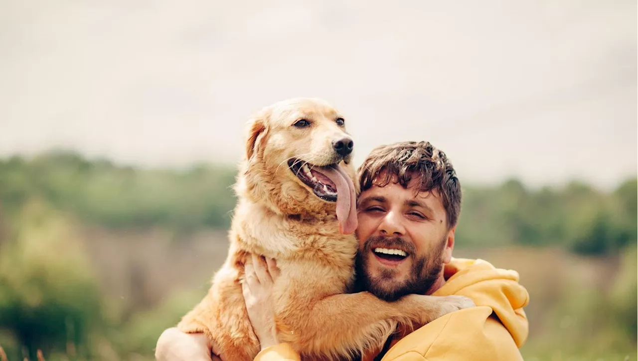 Inizio e Evoluzione dell'Amicizia tra Uomo e Cane