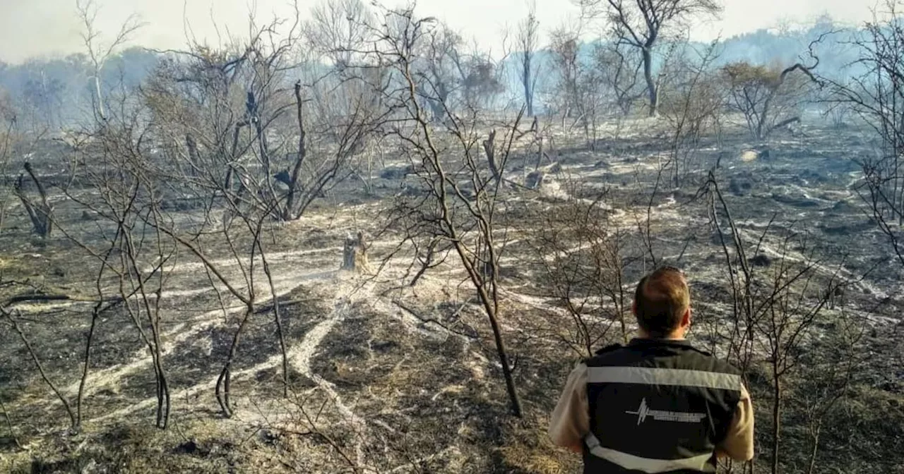 De las 100 mil hectáreas quemadas este año en Córdoba, 5 mil fueron de bosque nativo