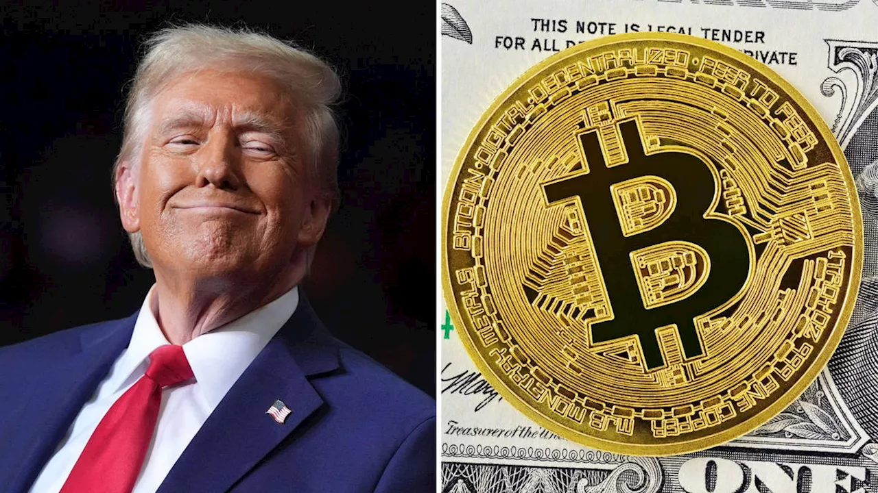 Bitcoin hits record high of $100,000 as Trump picks cryptocurrency backer to head financial watchdog