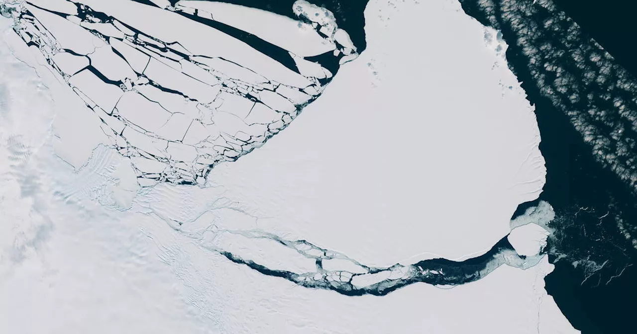 Comment sont détectés les icebergs sur le trajet du Vendée Globe ?