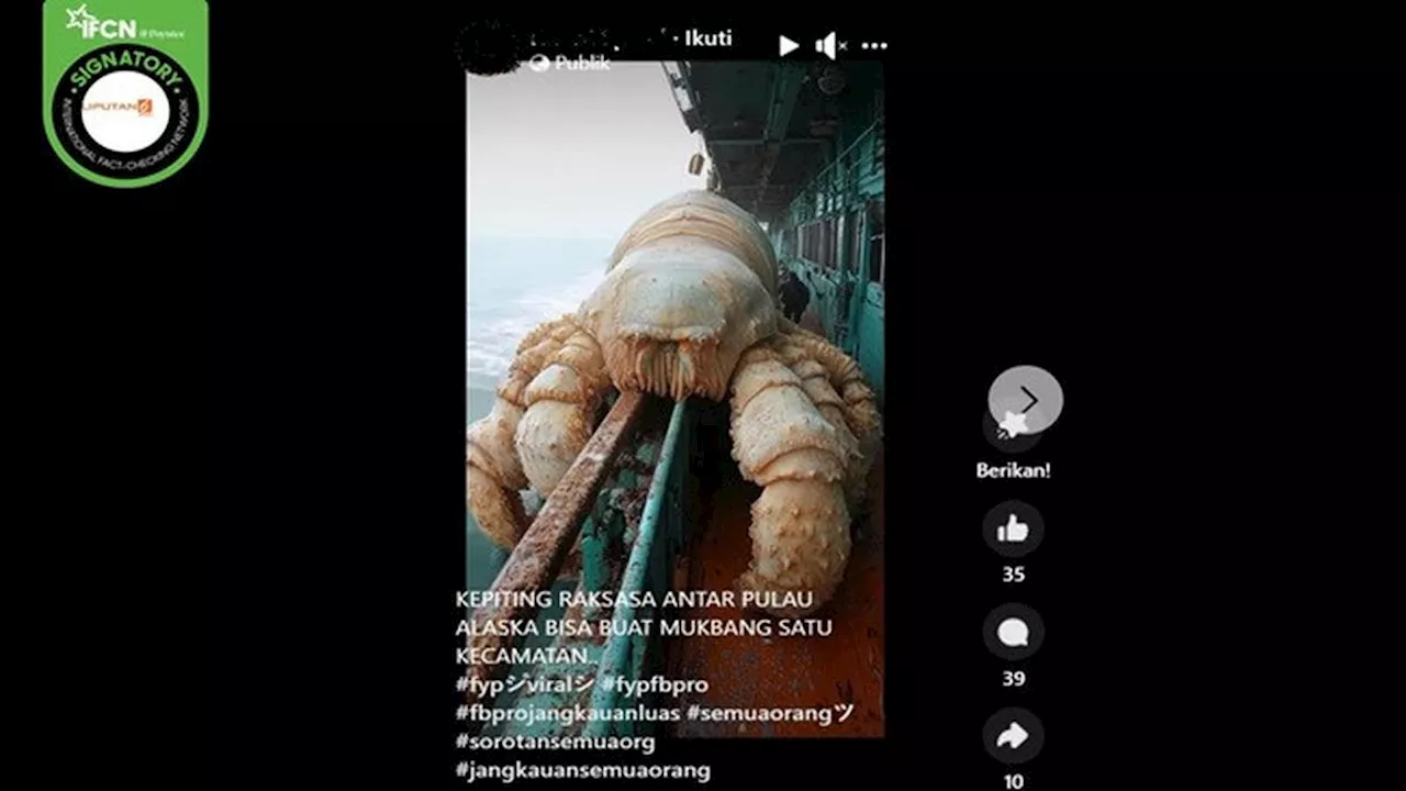 Cek Fakta: Hoaks Video Penampakan Kepiting Raksasa di Alaska