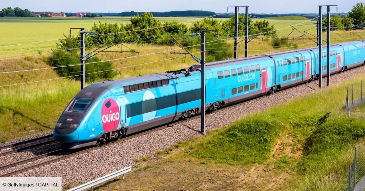 SNCF : coup d’envoi pour le train Ouigo classique entre Paris et Bruxelles