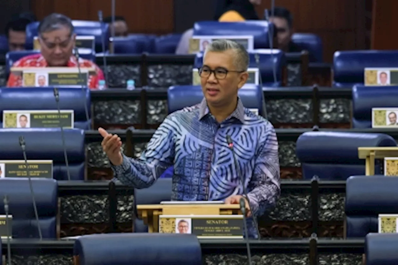 Malaysia's Trade Minister Warns of Reciprocal 100% Import Tax Impact