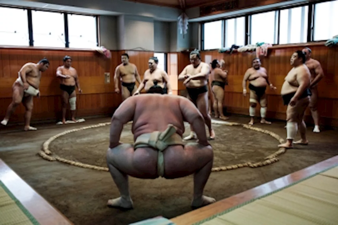 Sumo Returns to London in 2024: A Cultural Moment at the Royal Albert Hall