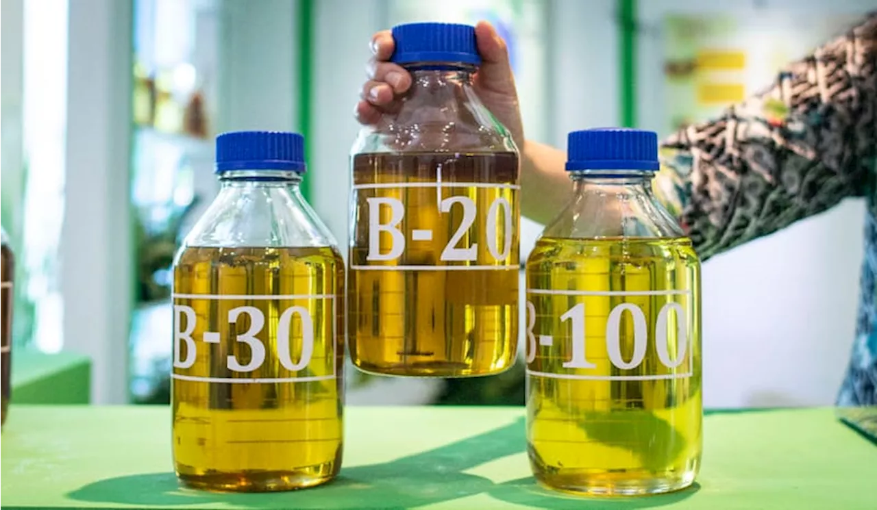 Penggunaan Biodiesel Diperkirakan Mampu Menekan Impor Minyak