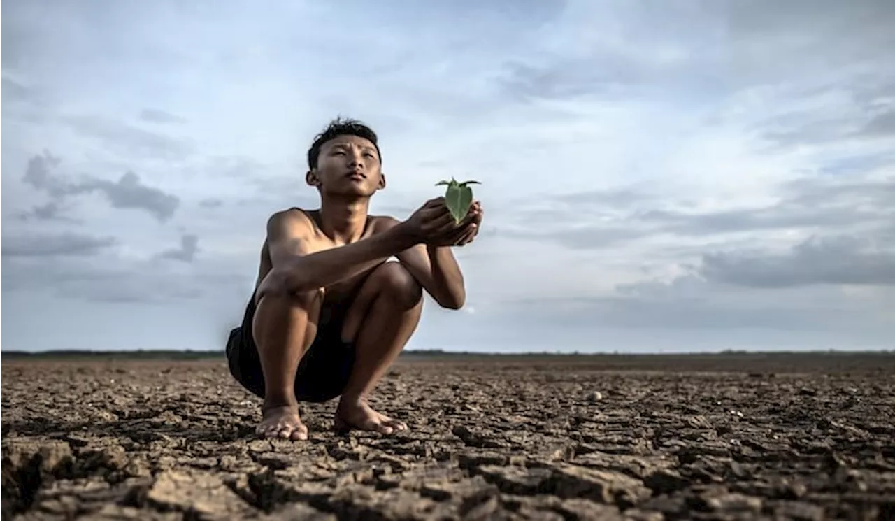 Tanah Subur vs Tanah Tidak Subur, Ini Cara Membedakannya