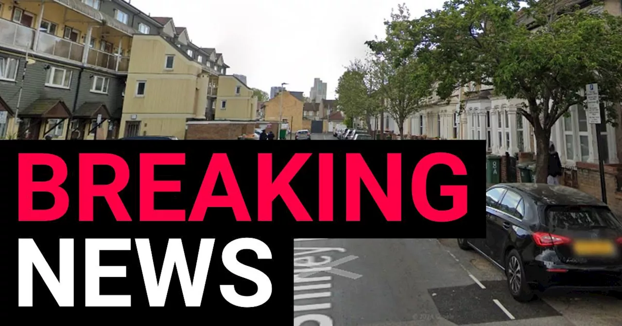 Woman charged after man dies from dog attack in east London