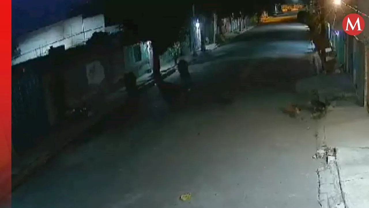 Captan en VIDEO a joven dispararle a perrito callejero en Valle de Chalco, Edomex