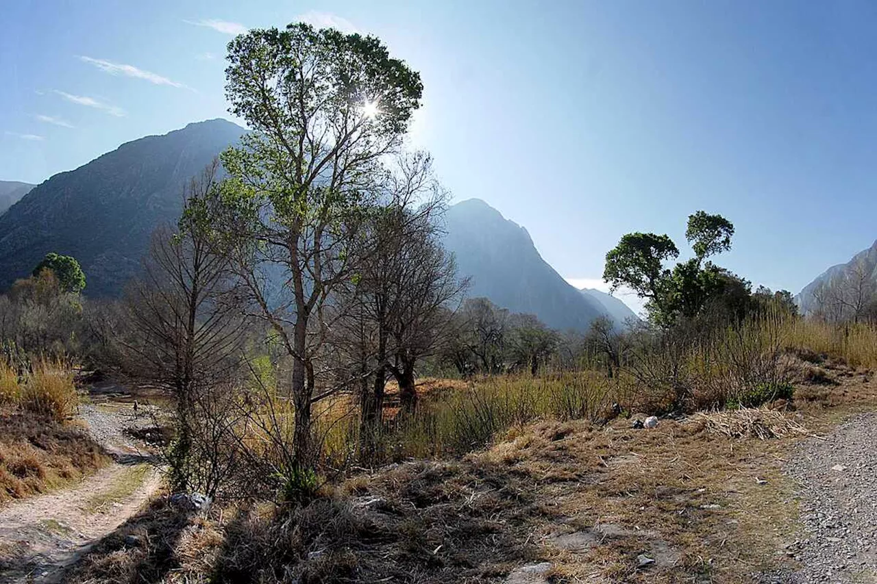 Ecología y Medio Ambiente de Lerdo señala a CONANP de permitir racers en Cañón de Fernández