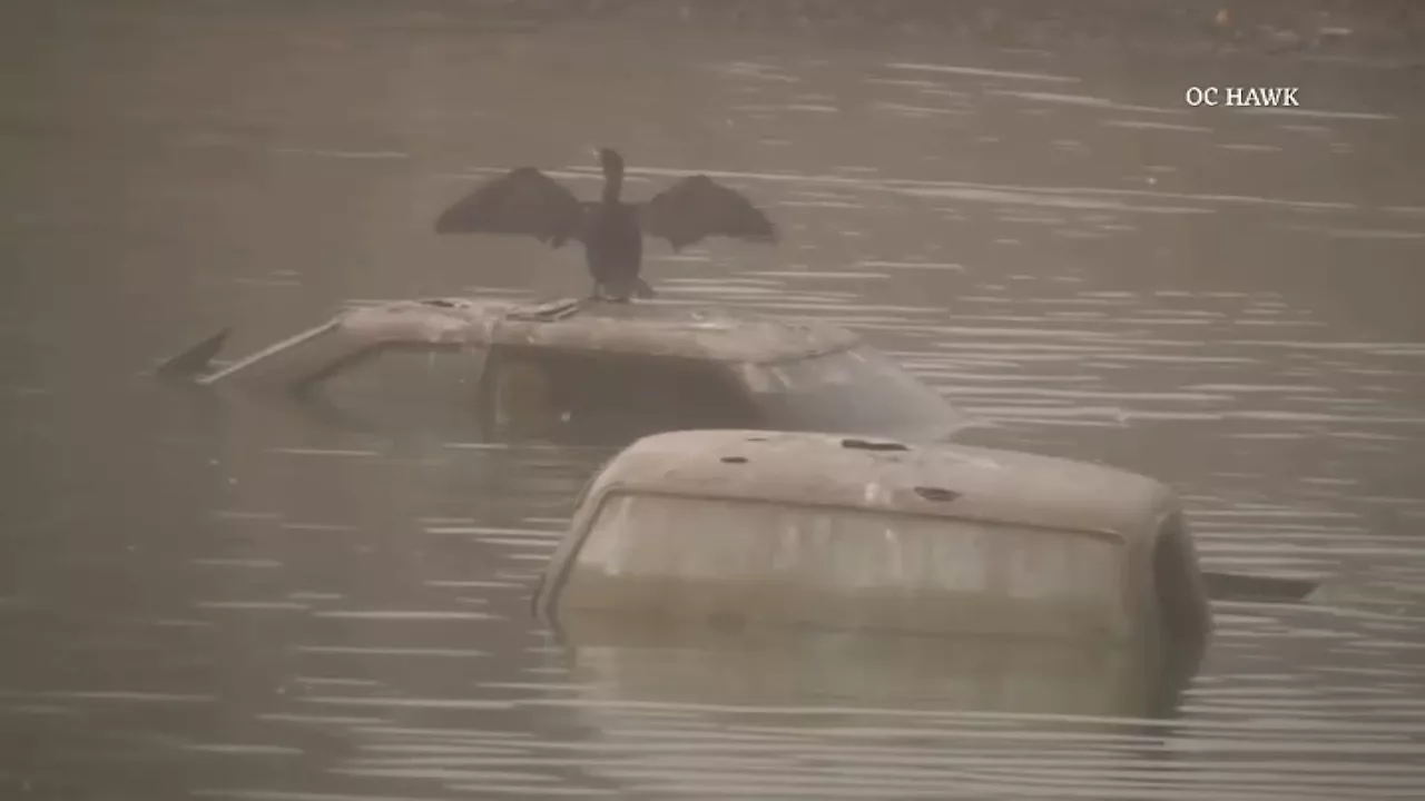 Renovation project at Santa Ana park leads to discovery of 3 submerged vehicles