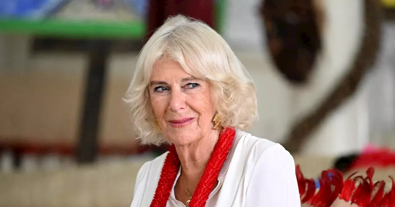 Queen Camilla Updates Health Status During Women's Aid Anniversary Event