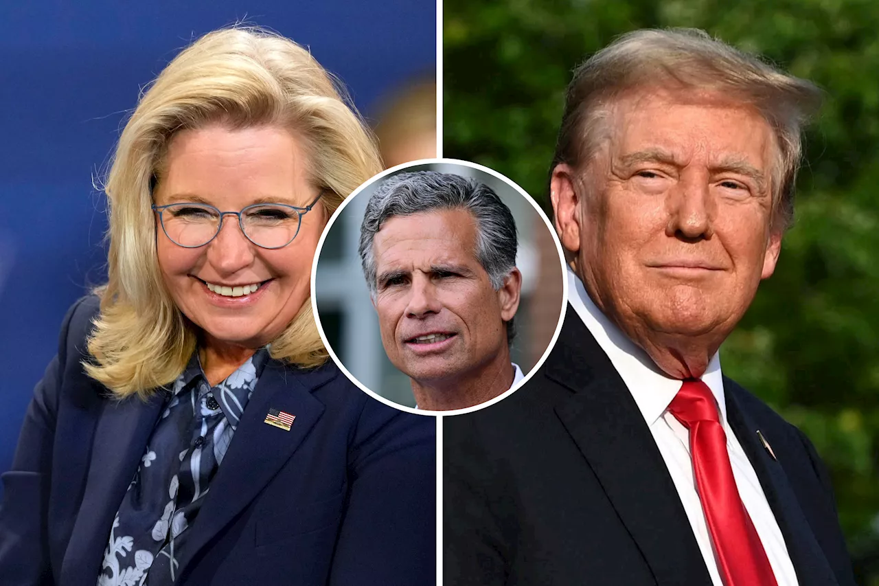 Republican Calls Fears Liz Cheney May Be Trump Admin Target 'Nonsense'