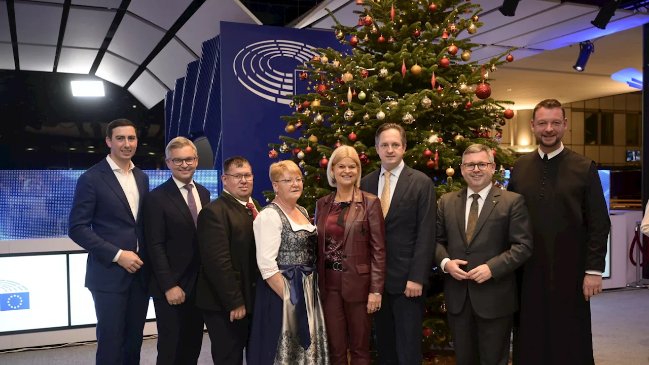 Christbaum aus Niederösterreich strahlt wieder im EU-Parlament