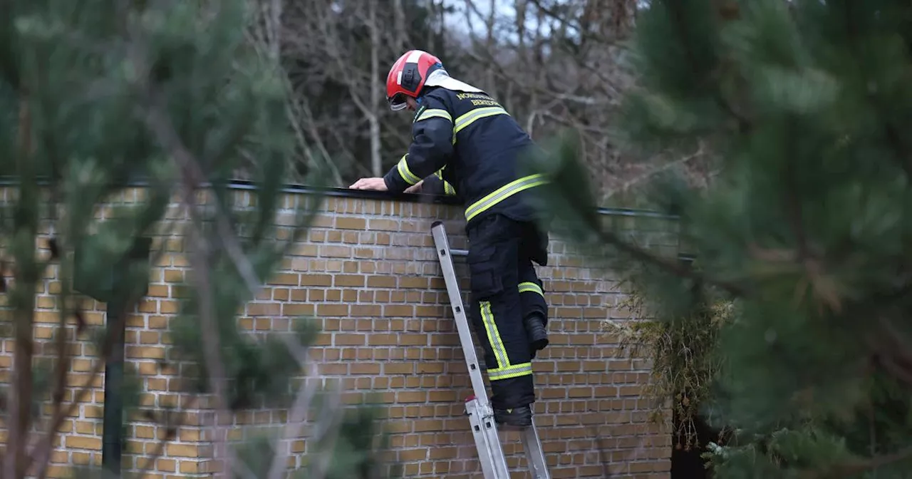 Røgdykker måtte i kælderen efter familiens kæledyr