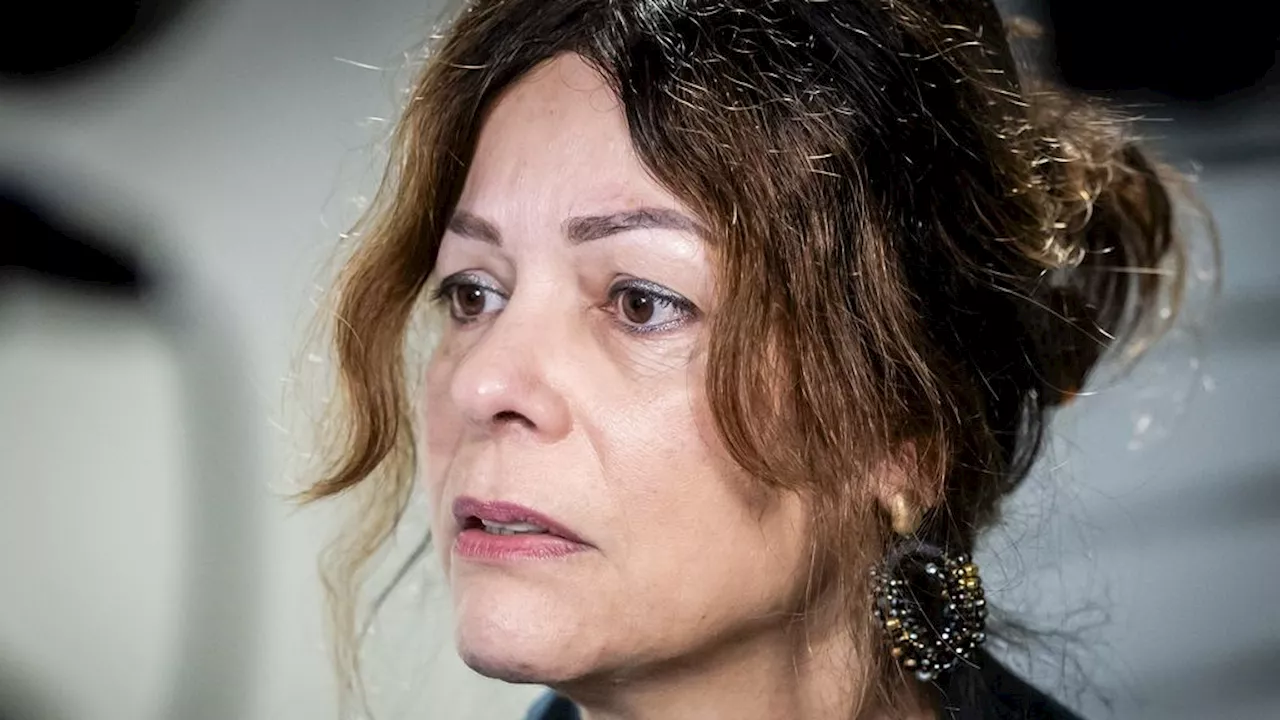 Sandra Palmen, Nieuwe Staatssecretaris van Financiën, Overneemt Toeslagenaffaire