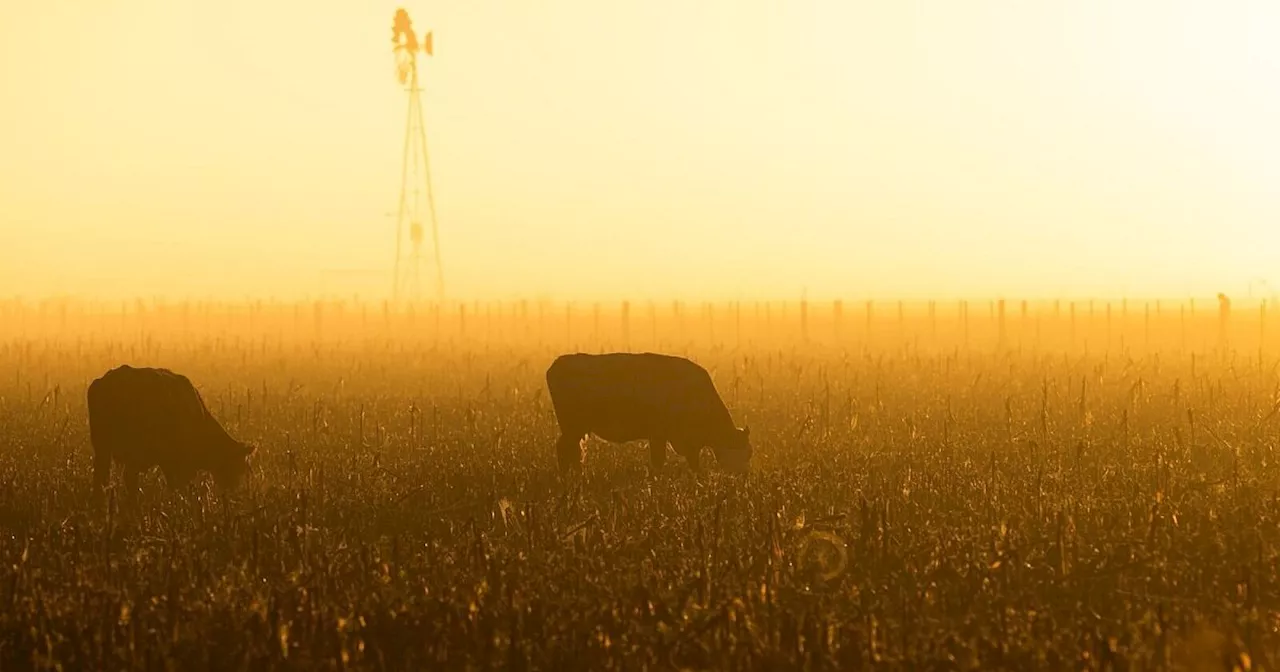 Freihandelsabkommen zwischen EU und Mercosur auf Zielgeraden