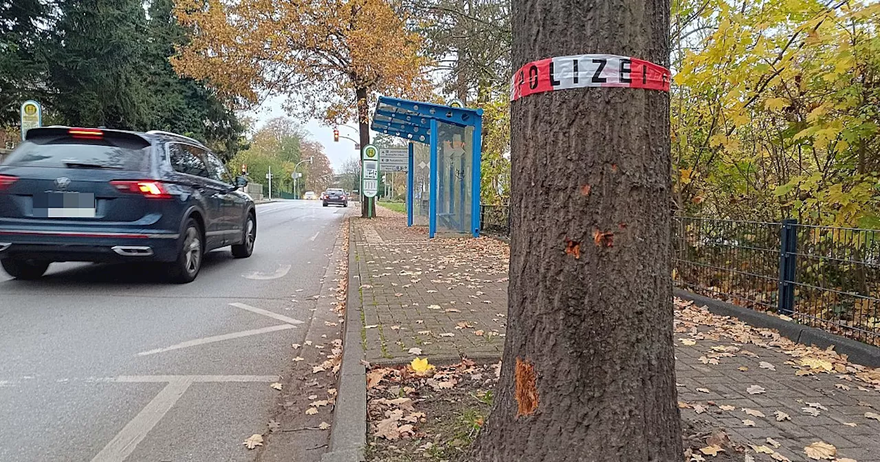 Rätselhafter Autounfall am Nordring in Bünde wirft Fragen bei Anwohnern auf