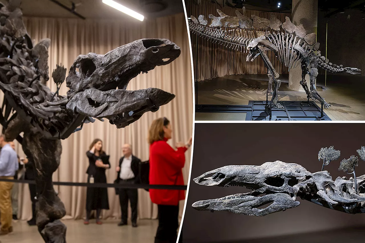 Massive, 150M-year-old Stegosaurus skeleton headed to NYC museum — thanks to billionaire Ken Griffin