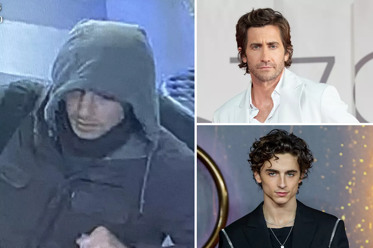 UnitedHealthcare CEO suspected gunman looks like Timothee Chalamet and Jake Gyllenhaal, says internet