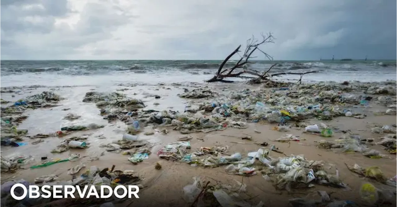 Degradação dos solos afeta saúde mental e bem-estar geral, alerta movimento Save Soil