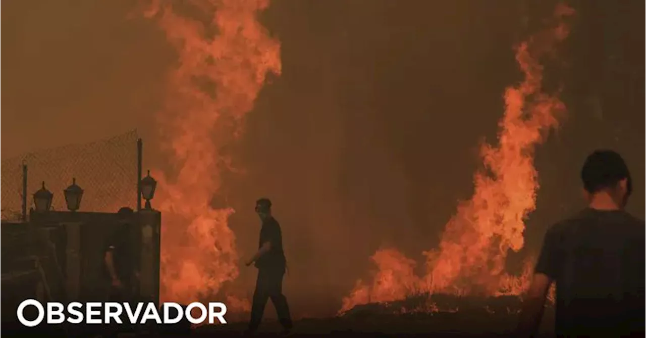 Prisão preventiva para suspeito de atear incêndio em Oliveira de Azeméis