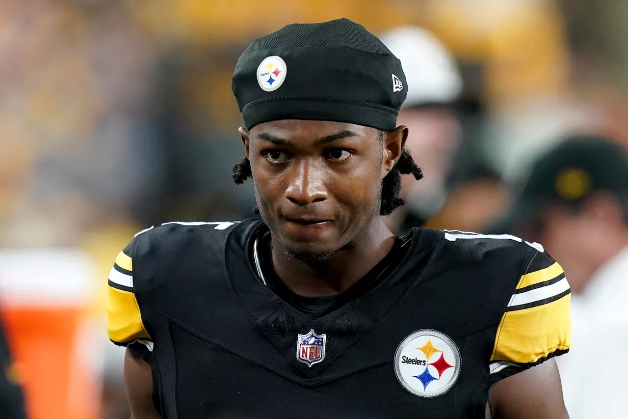 Carolina Panthers sign former Pittsburgh Steelers wide receiver