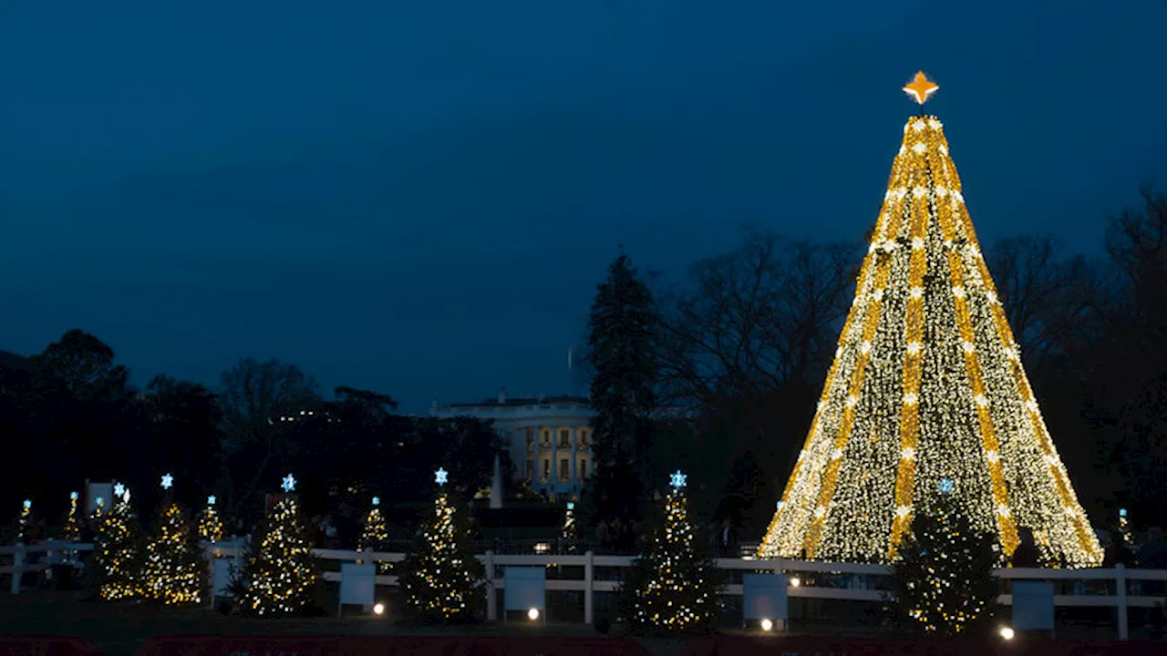 National Christmas Tree Lighting in Washington D.C.