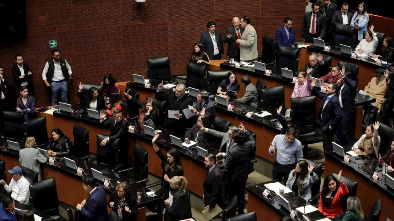 Prohibido trabajar todo el día de pie: aval unánime a la Ley Silla en el Senado